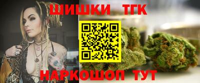индика Пенза