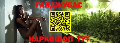 индика Пенза