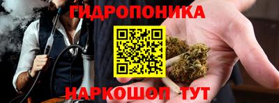 индика Пенза