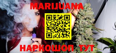 индика Пенза